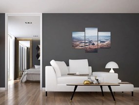 Tablou cu canion, SUA (90x60 cm)