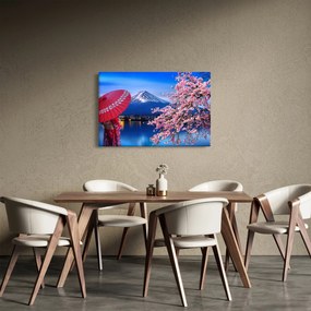 Tablou - cu privire la munte - Japonia (90x60 cm)