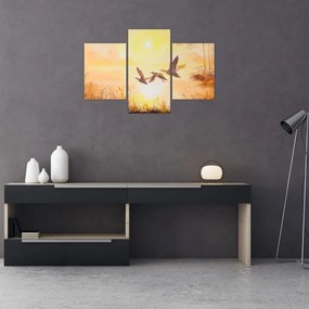 Tablou - Macarale la apus de soare (90x60 cm)