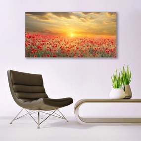 Tablou pe panza canvas Sun Meadow Poppy Flori Natura Galben Roșu Verde