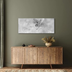 Tablou - Bufniță în câmp (120x50 cm)