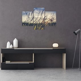 Tablou cu flori de câmp (90x60 cm)