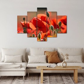 Tablou cu flori de maci (150x105 cm)
