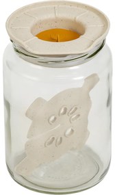 Set de fermentare Plastia - fildeș cu zaț decafea, nuanța miere