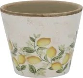 Ghiveci Limone Blossom cu lămâi și flori