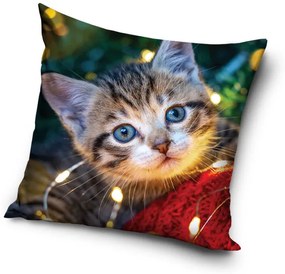 Pisică Cozy Lights husă decorativă pentru pernă 40x40 cm Catifea