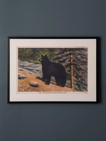 Tablou decorativ, cu rama din rasina, Bear Postcard