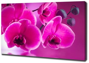 Imprimare tablou canvas Orhidee