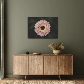 Tablou cu floare portocalie (70x50 cm)