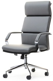 Fotoliu Blondie (gri + crom). 1109898