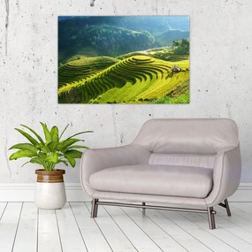 Tablou - Concert Terase de orez (90x60 cm)