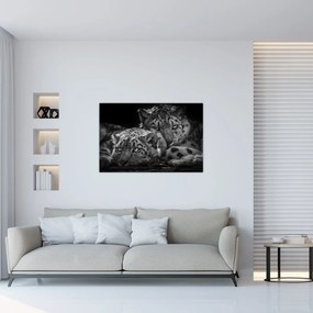 Tablou - Gheparzi care se odihnesc (90x60 cm)