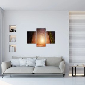 Tablou cu pădurea toamna în ceață (90x60 cm)