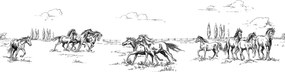 Fototapet, Horses Herd Grand, Black, Rebel Walls