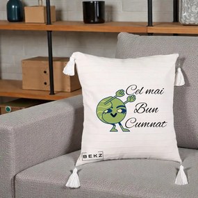Cadou pentru Cumnat - Perna Personalizata Cel mai Bun Cumnat cu Personaj Funny Verde, 40x40 cm, Bej cu Franjuri, Husa Detasabila, Perna Inclusa, BEKZ®