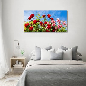 Tablou canvas Trandafiri sălbatici