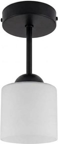 BRILAGI - LED Lustră aplicată RETRO GLASS 1xE27/60W/230V Ø 10 cm negru/alb