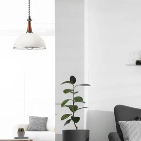 Lustr retractabil CHIARA 1xE27/60W/230V argintiu/stejar