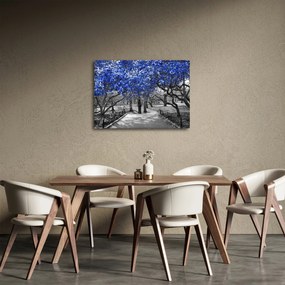 Tablou - Copaci albaștri Central Park, New York (70x50 cm)