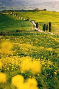 Fotografie Tuscany, springtime in the afternoon. Path,, Francesco Riccardo Iacomino