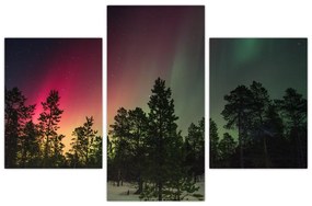 Tablou cu Northern Lights (90x60 cm)