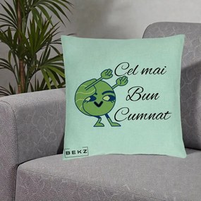 Cadou pentru Cumnat - Perna Personalizata Cel mai Bun Cumnat cu Personaj Funny Verde, 40x40 cm, Verde Menta, Husa Detasabila, Perna Inclusa, BEKZ®