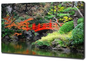 Tablou pe pânză canvas Grădină japoneză
