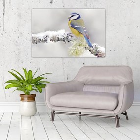 Tablou - Tit albastru în pădure (90x60 cm)