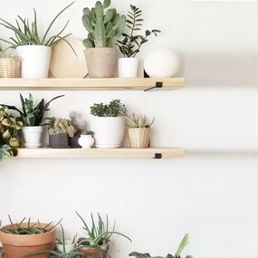 SET 2x raft de perete 16x60 cm molid