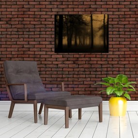 Tablou pe sticlă - Pădurea întunecată (70x50 cm)