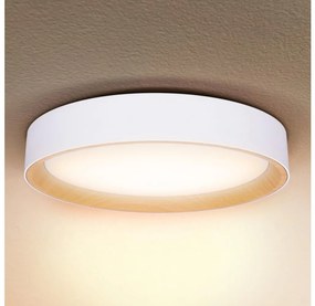 Plafonieră LED dimabilă Brilagi LARIOS LED/48W/230V 3000-6500K ø 39 cm alb + telecomandă