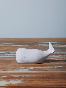 Set solnita si pipernita, Whale