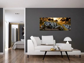 Tablou tigrul dormind (120x50 cm)