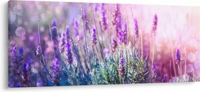 Tablou - Lavandă în strălucirea soarelui (120x50 cm)