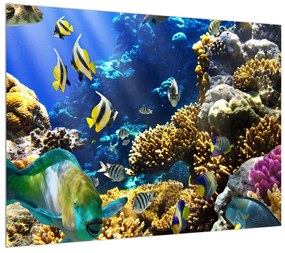 Tablou cu lumea submarină (70x50 cm), în 40 de alte dimensiuni noi