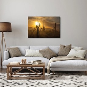 Tablou - Cactuși Saguaro (90x60 cm)