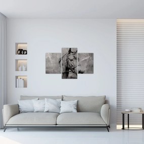 Tablou - Portret de cal (90x60 cm)