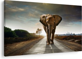 Tablou cu elefant (90x60 cm)
