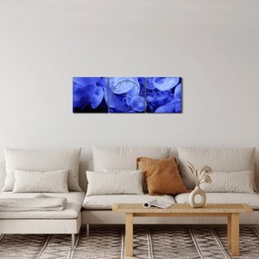 Tablou - Meduză (cu ceas) (90x30 cm)