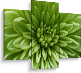 Tablou - Imagine macro a unei plante (90x60 cm)