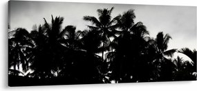 Tablou alb negru - palmieri (120x50 cm)