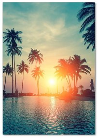 Tablou sticlă plaja tropicala