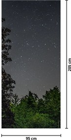Fototapet pentru ușă - Cerul noaptea (95x205cm)