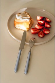 Tacâmuri albastru-deschis/argintii din oțel inoxidabil 4 buc. pentru 1 persoană Noli – noo.ma