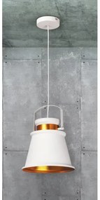 Rabalux 2571 - Lampa suspendata DUSAN E27/40W