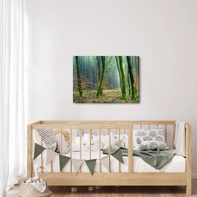 Tablou cu pădure (70x50 cm)