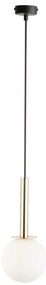 Lustră pe cablu DAISY 1xG9/12W/230V d. 14 cm auriu/negru/alb