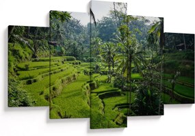 Tablou cu terasele cu orez Tegalalang, Bali (150x105 cm)