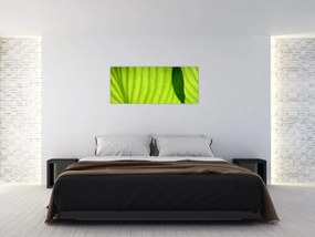 Tablou - Detaliu de frunză verde (120x50 cm)