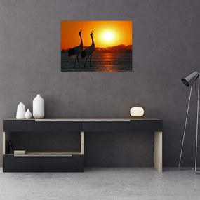 Tablou pe sticlă cu păsări în apus de soare (70x50 cm)